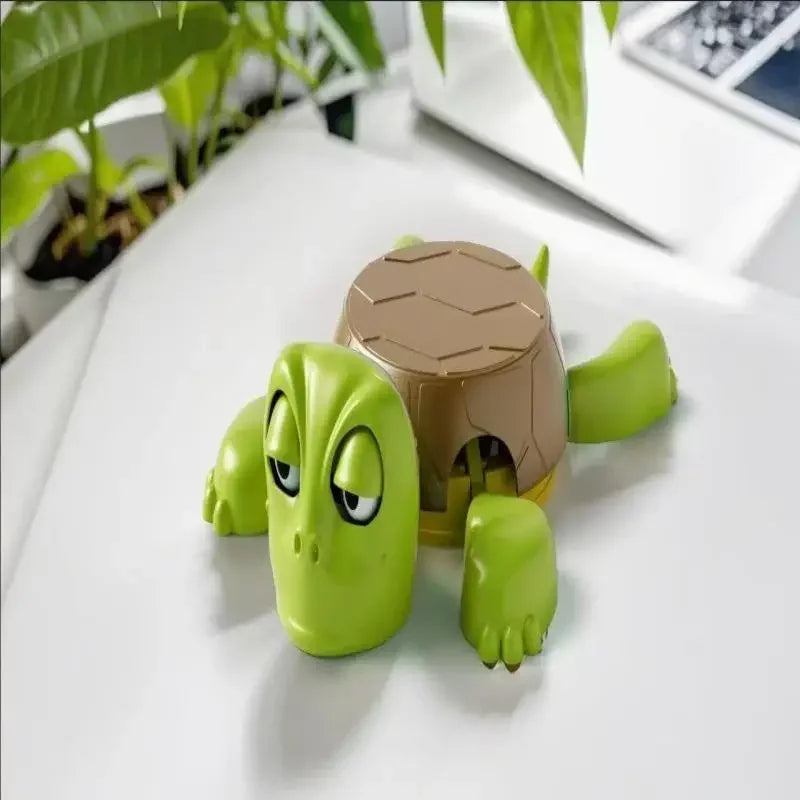 Funny Turtle Coaster 