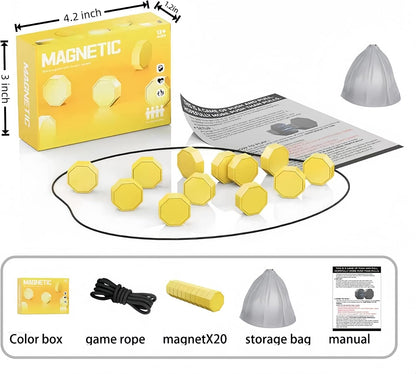 Magnet Chess Game